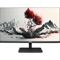 Монитор RDW Computers RDW2401K фото 1